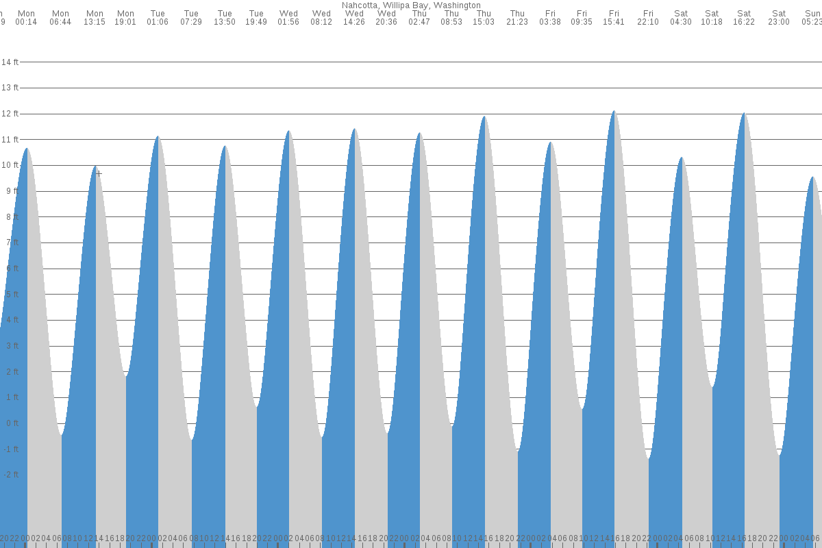 Ocean Park Tide Chart